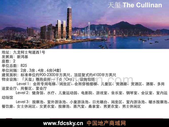 房地产营销策划 2009年香港天玺超高层豪宅案例简介